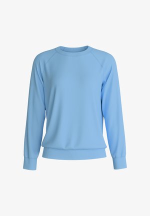 Light blue crewneck sweatshirt with long sleeves, ribbed cuffs, and a ribbed waistband on a white background.