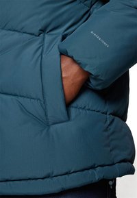 Jack & Jones JJWORLD PUFFER JACKET  - Χειμωνιάτικο μπουφάν - magical forest