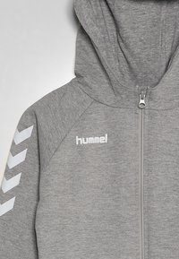 Felpa grigia con zip, realizzata in tessuto morbido, con cappuccio, logo bianco sul petto e dettagli a chevron bianchi sulle maniche.