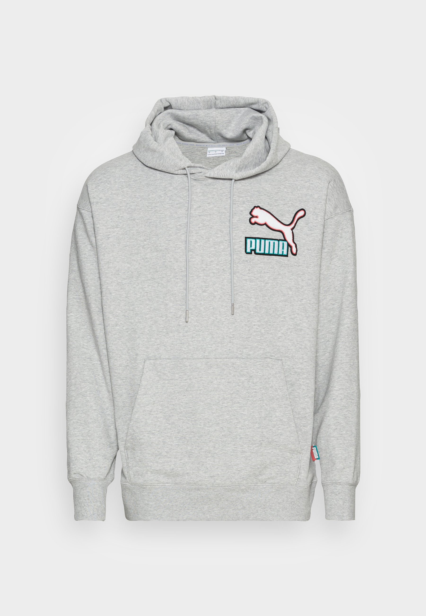 Puma FANDOM HOODIE UNISEX Sudadera light gray heather/gris