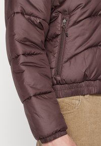 The North Face Winter jacket - coal brown