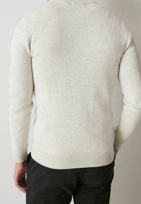 Light gray knitted sweater with a crew neck, ribbed cuffs, and hem. Features a soft texture and a minimalist design, back view shown.