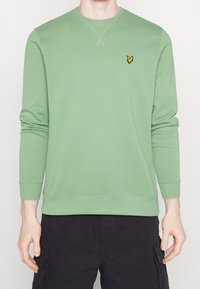 Lichtgroene sweatshirt met lange mouwen, geribde manchetten en zoom, met een klein geel geborduurd logo op de borst. Zachte stoftextuur.