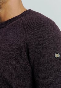 NO EXCESS CREWNECK - Trui - aubergine