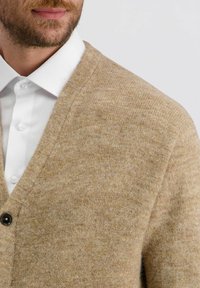 Bärtiger Mann trägt eine beige Strickjacke über einem weißen Hemd mit Knopfleiste, die den Oberkörper und einen Teil des Kinns zeigt.