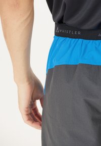 Blåa och gråa shorts med elastisk midja, med en logotyp och en slät textur. Designen är funktionell och lättviktig.