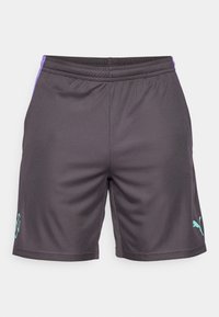Pantalones cortos deportivos grises con una textura suave, que presentan acentos laterales morados y un logo azul claro. Cintura elástica para mayor comodidad.