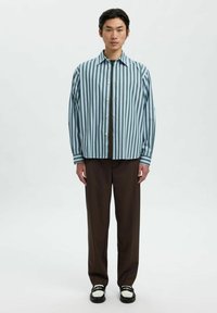 Camicia a righe con bottoni in azzurro chiaro e verde, con una patta marrone, abbinata a pantaloni marroni e scarpe nere con dettagli bianchi.