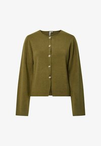 Pasirinkta, sphagnum