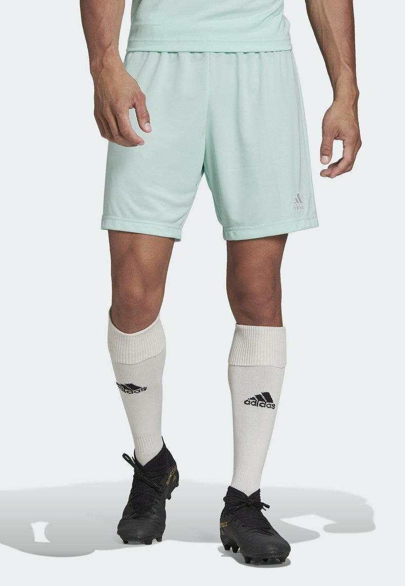 Mies, joka on pukeutunut vaaleanvihreisiin Adidas-shorteihin, valkoisiin Adidas-pitkiin sukkiin ja mustiin nappulakenkiin, seisoo yksinkertaisella taustalla.