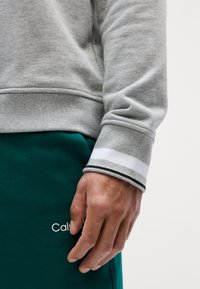 Šedá mikina s texturovaným povrchem, se pruhovanými manžetami. V kombinaci se zelenými tepláky se bílým logem "Calvin Klein".