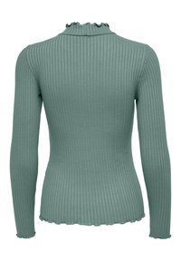 JDY HIGHNECK NOOS - Langarmshirt - grün