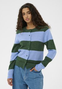 Cardigan rayé vert et bleu clair, avec un col rond, une fermeture boutonnée et un tricot texturé. Porté avec un jean bleu clair.