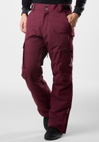WHISTLER SHELL - Ski pants - burgundy