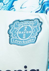 Έμβλημα της ποδοσφαιρικής ομάδας Bayer Leverkusen με δύο λιοντάρια, το έτος 1904 και το κείμενο Bayer Leverkusen σε λευκό υφασμάτινο ύφασμα.