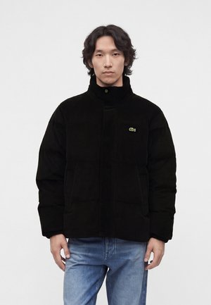 Mann trägt eine schwarze wattierte Jacke mit Reißverschluss und hohem Kragen sowie blaue Jeans, steht vor einfachem hellem Hintergrund.