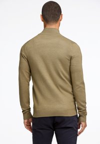 Olivgrüner Pullover mit langen Ärmeln, geripptem Kragen, glatter Textur und figurbetonter Silhouette. Die Rückansicht zeigt saubere Nähte und ein dezentes Strickmuster.