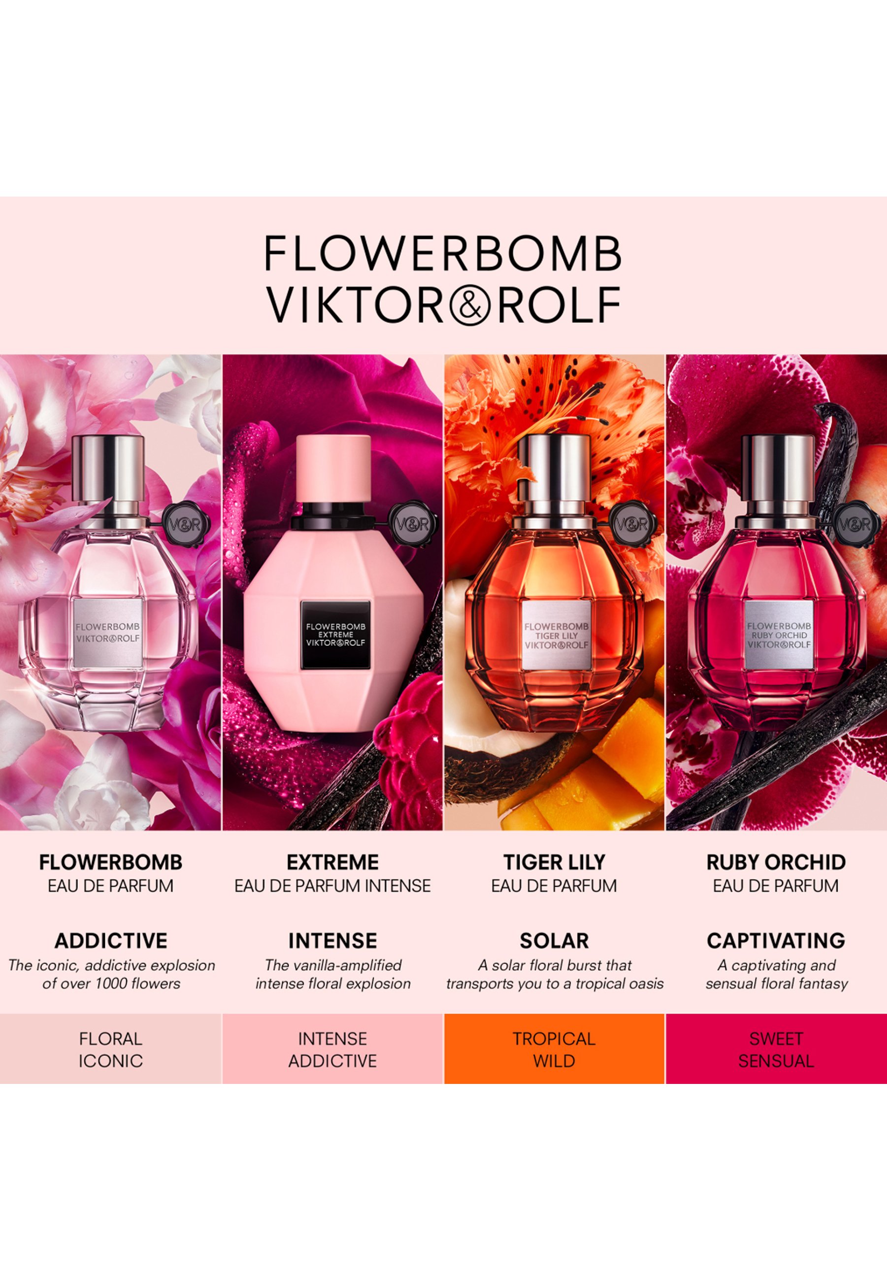 Viktor & Rolf Fragrance FLOWERBOMB - Eau de parfum - Zalando.nl