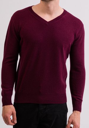 Mężczyzna w ciemnofioletowym swetrze z długim rękawem i dekoltem w serek oraz czarnych spodniach, stojący na jasnym, jednolitym tle.