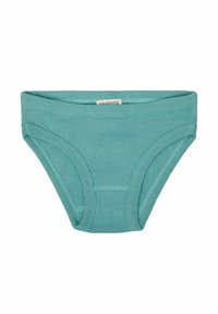 Teal katoenen slip met een gladde textuur, lage taille en elastische band. Heeft platte naden en geen zichtbare patronen.