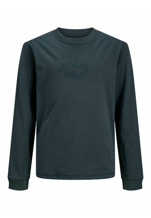 LANGÄRMELIG - Maglietta a manica lunga - forest river