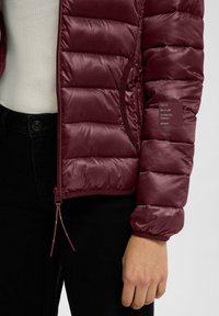 Weinroter Pufferjacke mit Steppdesign, Reißverschluss und elastischen Bündchen. Verfügt über eine Tasche mit Text und einem Kordelzug am Saum.