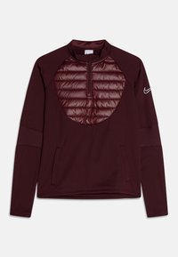 Nike Performance ACADEMY WINTERIZED UNISEX - Langarmshirt - burgundy crush/silver
