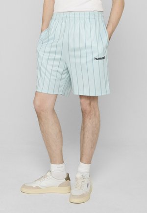 Jasnoniebieskie sportowe spodenki z pionowymi paskami, elastycznym pasem, bocznymi kieszeniami i małym czarnym logo na lewej nodze.