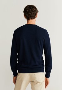 Muž s krátkými kudrnatými vlasy, oblečený v tmavě modré svetru s dlouhým rukávem a béžových kalhotách, zobrazený zezadu na jednobarevném pozadí.