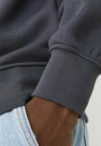Jack & Jones JORVESTERBRO CREW NECK - Felpa - asphalt