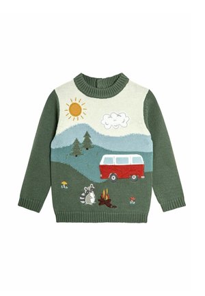 REGULAR FIT - SCENE - Trui - green