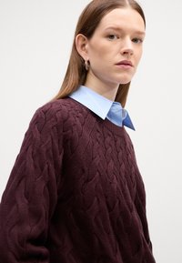 Bordo spalvoto megztinio su iškilumais raštais, dėvimo ant šviesiai mėlynos marškinių su apykakle, su mygtuko ir apykaklės detalėmis.