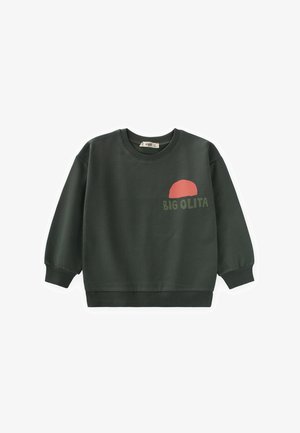 Tume roheline kapuutsiga dressipluus, pikkade varrukatega, soonikkoes mansettide ja alläärega. Esiküljel on roosa poolringikujuline graafika ning roheline tekst "BIG OLITA."