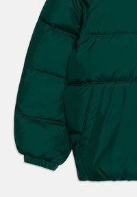 Chaqueta de plumas en verde oscuro, con secciones acolchadas, puños elásticos y una textura de tela lisa y brillante. Incluye bolsillos laterales.