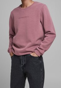 Felpa rosa con collo a girocollo e polsini a costine. Presenta un logo in rilievo sul petto. Indossata con jeans grigi scuri. Texture del tessuto morbida.