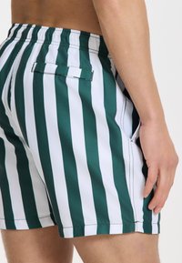 Grün-weiße gestreifte Badehose mit einem elastischen Bund, seitlichen Taschen und einer Gesäßtasche. Glatte Textur, knielanges Design.
