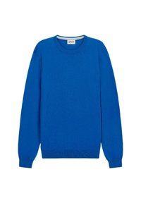 Maglione azzurro lavorato a maglia con maniche lunghe, collo rotondo e orlo a costine. Tessuto liscio di un colore uniforme, senza motivi né dettagli visibili.
