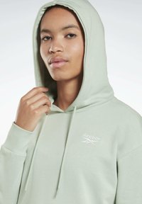 Sudadera verde claro con cordones y puños acanalados. Presenta un logo blanco de Reebok bordado en el pecho. Material de suave mezcla de algodón.