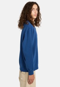 Blue sweatshirt with a relaxed fit, ribbed cuffs, and crew neckline. Model wears it with light-colored pants. Soft fabric texture visible.