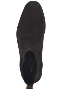 Scotch & Soda PICARO - Stiefelette - dark brown