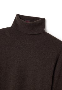 Maglione a collo alto di colore marrone scuro realizzato in morbido tessuto lavorato a maglia. Presenta un colletto a coste e una superficie liscia con cuciture minime visibili.