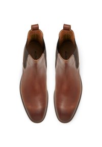 ALDO Stiefelette - cognac