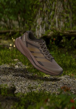 Pruun Adidas Terrex maastikujooksujalats ripub kruusateel metsakeskkonnas.