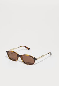 0VO5625S - Solbriller - dark havana