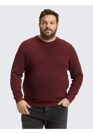 Bärtiger Mann, der einen burgunderfarbenen Pullover und schwarze Jeans trägt, steht mit einer Hand in der Tasche vor einem neutralen grauen Hintergrund.