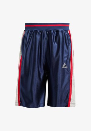 Pantalones cortos deportivos azules con un acabado brillante. Cuentan con rayas laterales rojas y blancas y paneles de malla ventilada. Cintura elástica con acentos rojos.