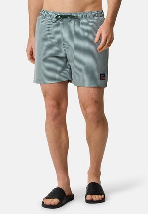 Herren Badeshorts mit grün-weißem Streifenmuster, elastischem Bund, Kordelzugverschluss und einem kleinen Markenlogo-Patch an der Seite.