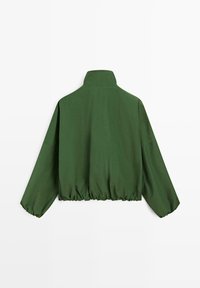 Groene lange mouwen jas met hoge kraag, elastische zoom op mouwen en taille, van achteren weergegeven tegen een effen achtergrond.