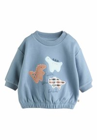 Jasnoniebieski bawełniany sweatshirt z aplikacjami dinozaurów w kolorze brązowym, białym i w kratkę, z ściągaczami przy mankietach oraz elastycznym dołem.