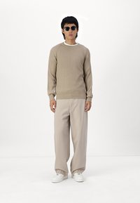 Jack & Jones JJPANNEL  - Trui - crockery